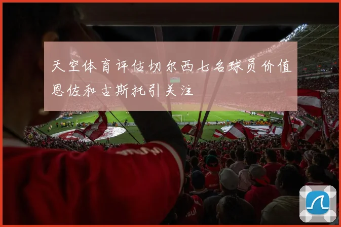 天空体育评估切尔西七名球员价值恩佐和古斯托引关注