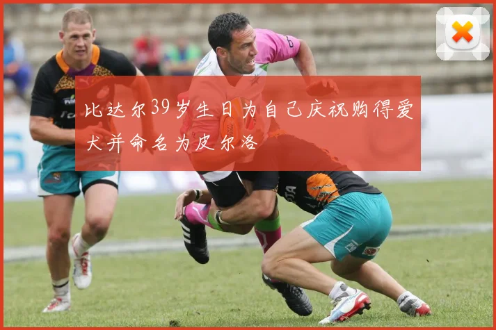 比达尔39岁生日为自己庆祝购得爱犬并命名为皮尔洛